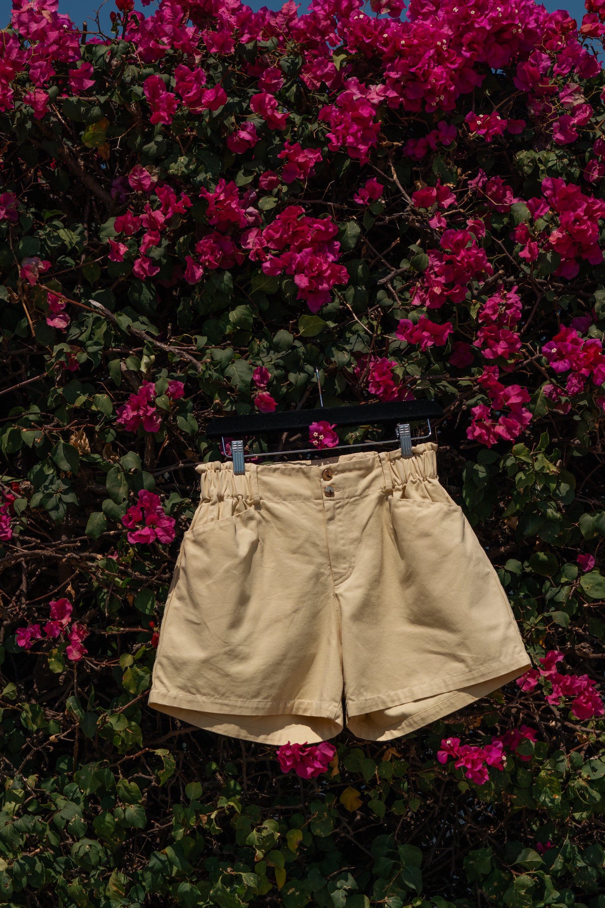 The Gracie Shorts