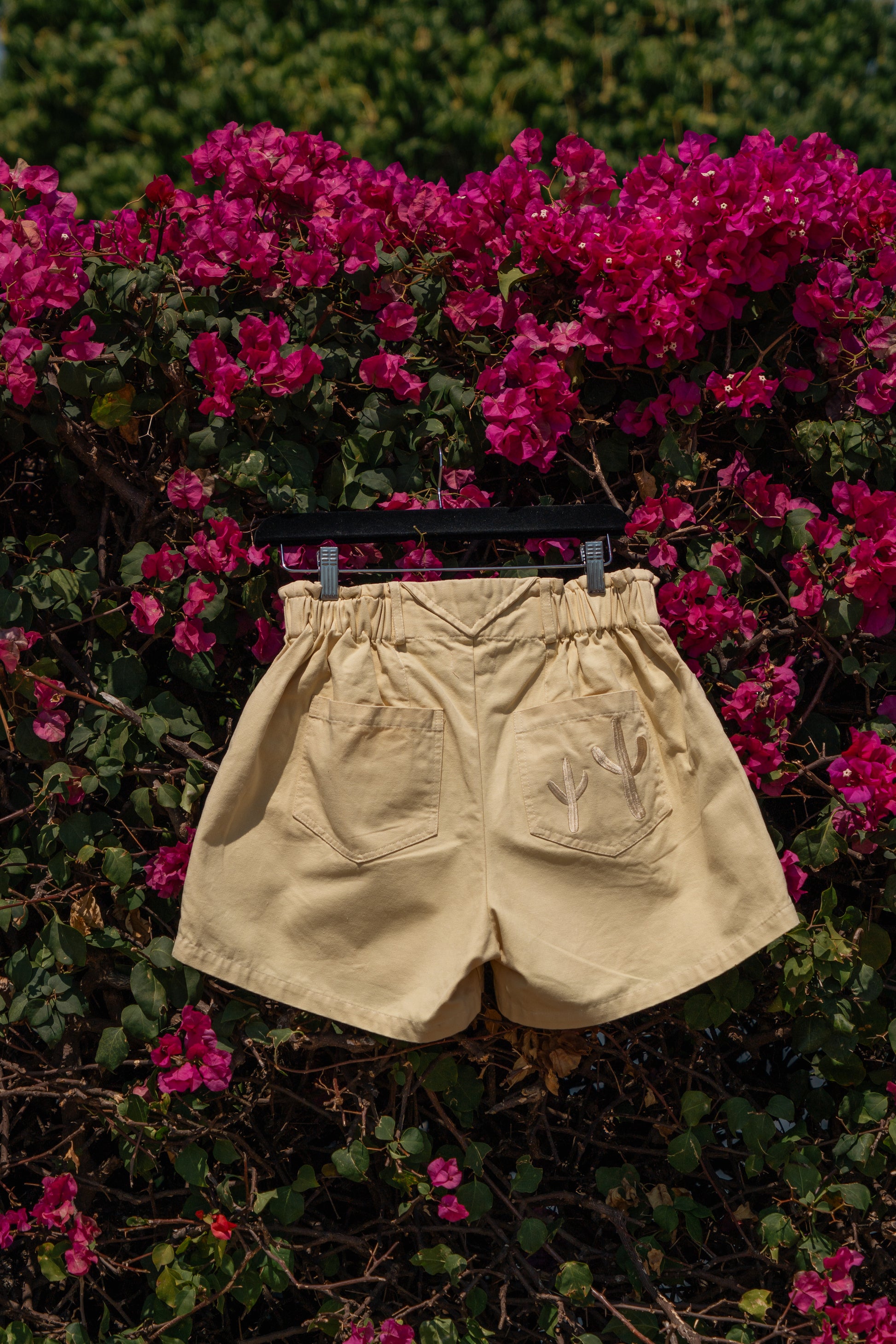 The Gracie Shorts