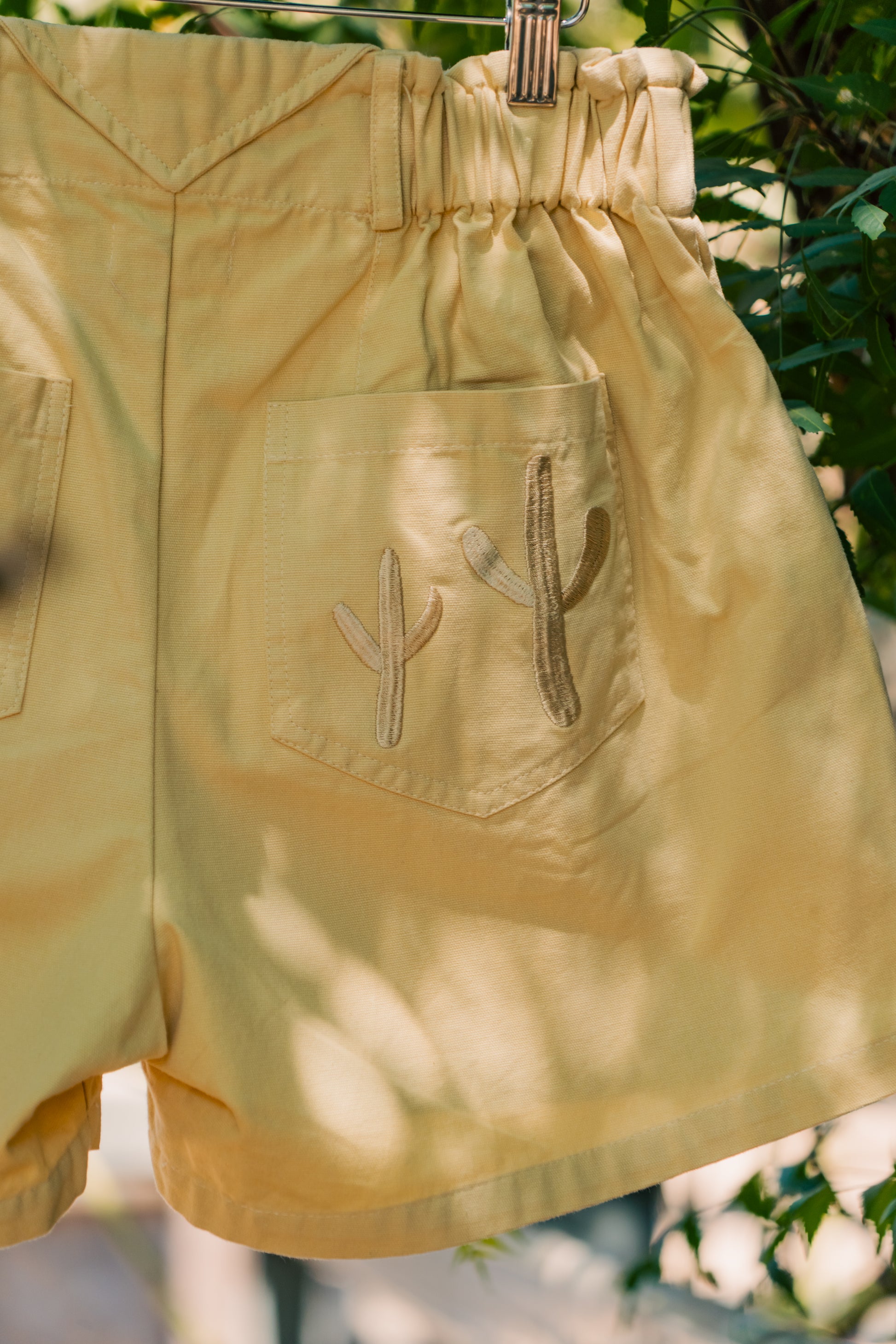 The Gracie Shorts