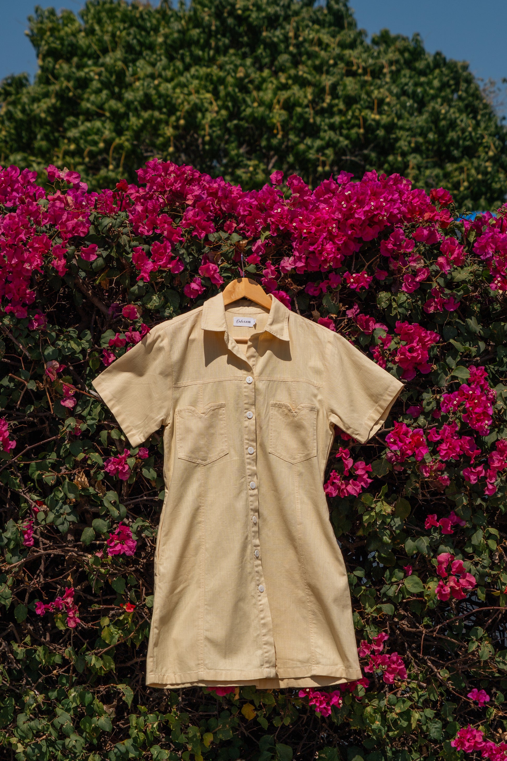 Delta J Dress