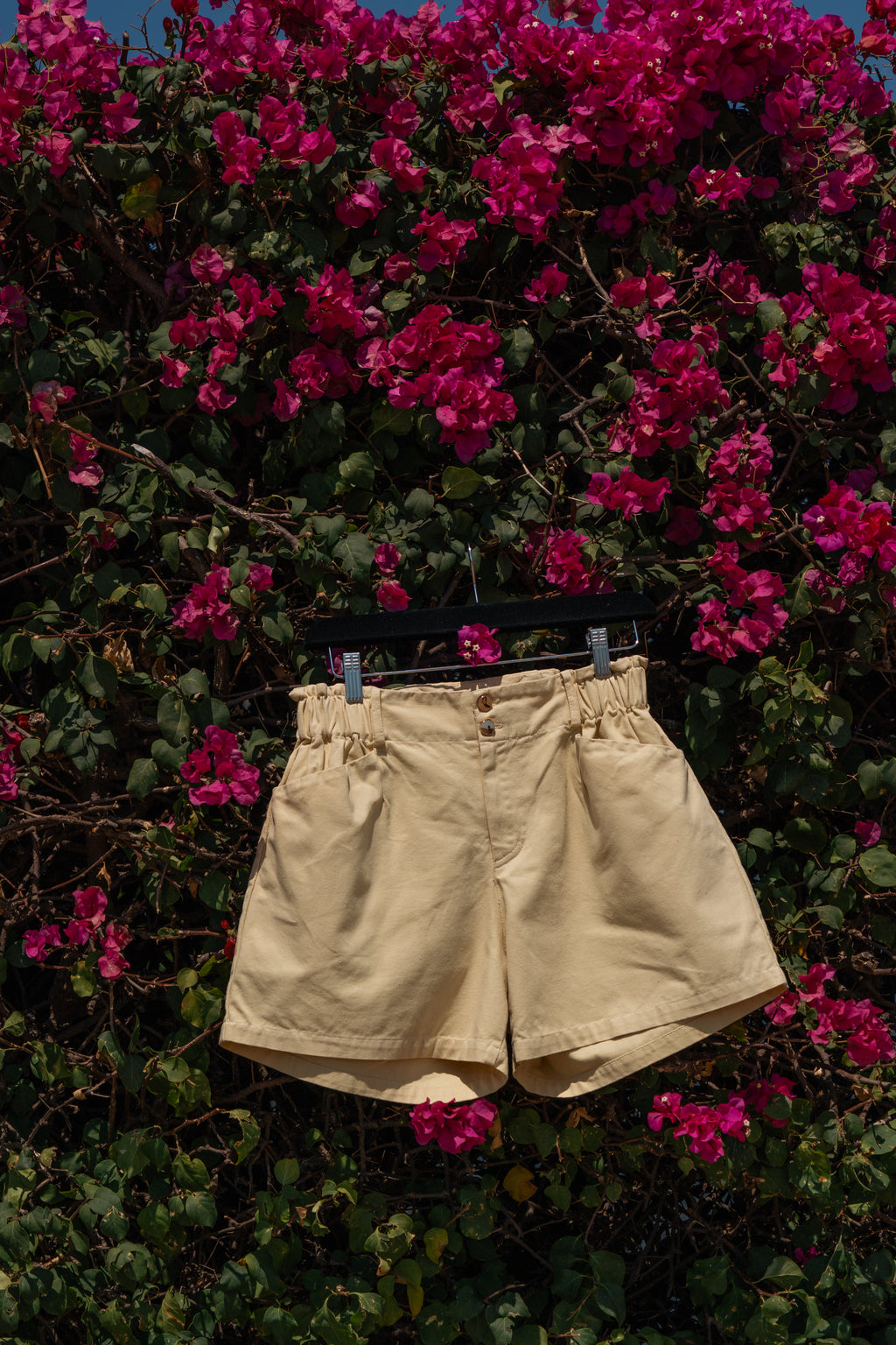 The Gracie Shorts